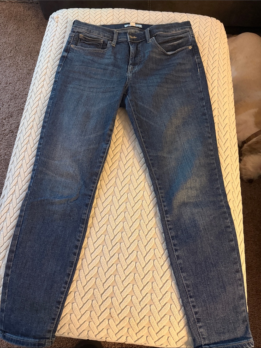 Lucky Brand Women's Skinny Jeans in Dark Blue Wash